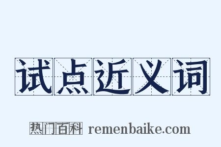 试点近义词是什么意思的图片
